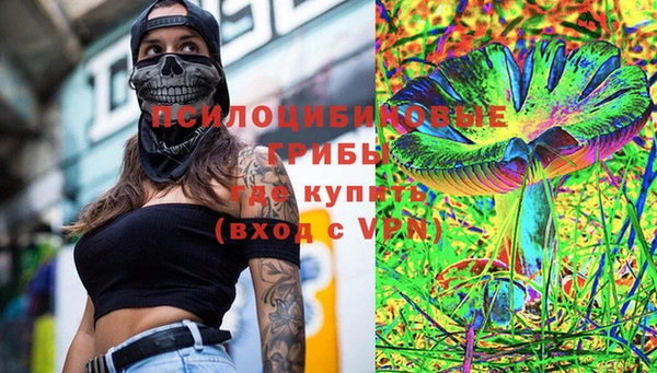 амф Гусь-Хрустальный