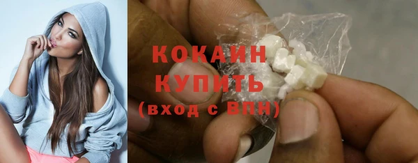 амф Гусь-Хрустальный