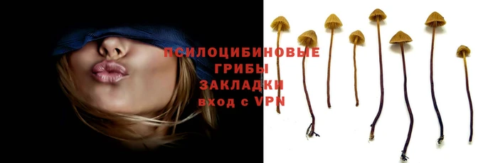 марки nbome Верея