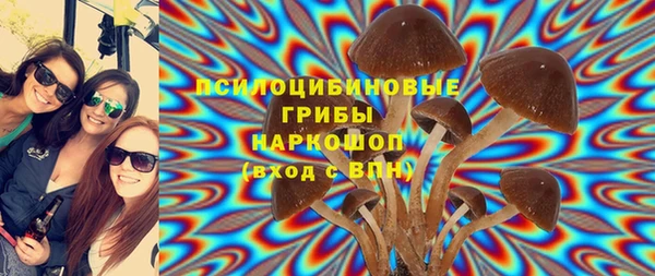 амф Гусь-Хрустальный