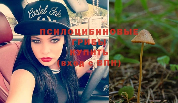 метадон Вяземский